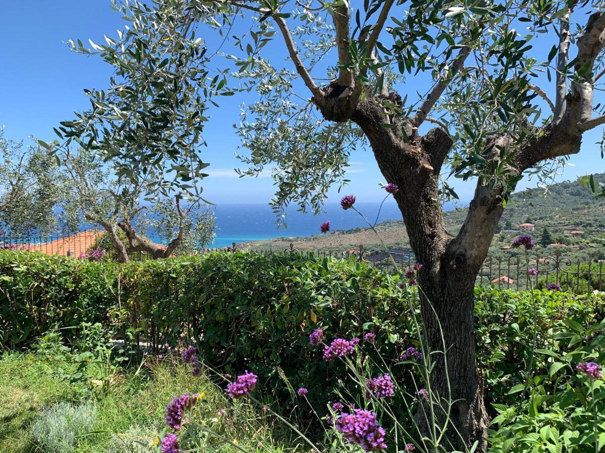 Agriturismo L’Orto di Muma Gorleri Exterior foto